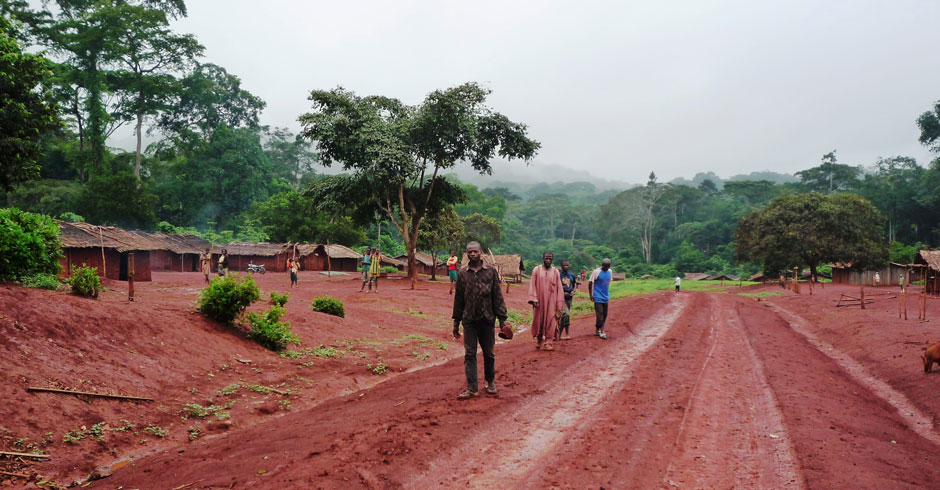 Village in DRC