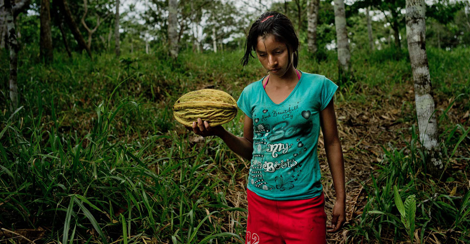 A Kichwa girl carries fruit home, Napo Province, Ecuador