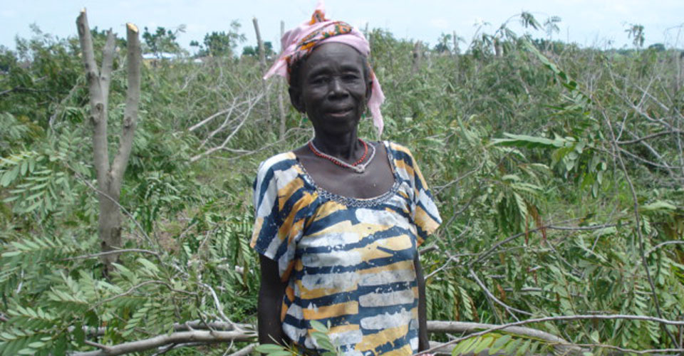 woman in sustainable woodlot in Ghana
